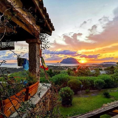Villa Acchiappasogni Порто-Сан-Паоло Екстер'єр фото